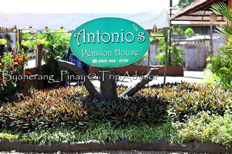 Antonio's Pension House Reviews, Deals & Photos 2024 .